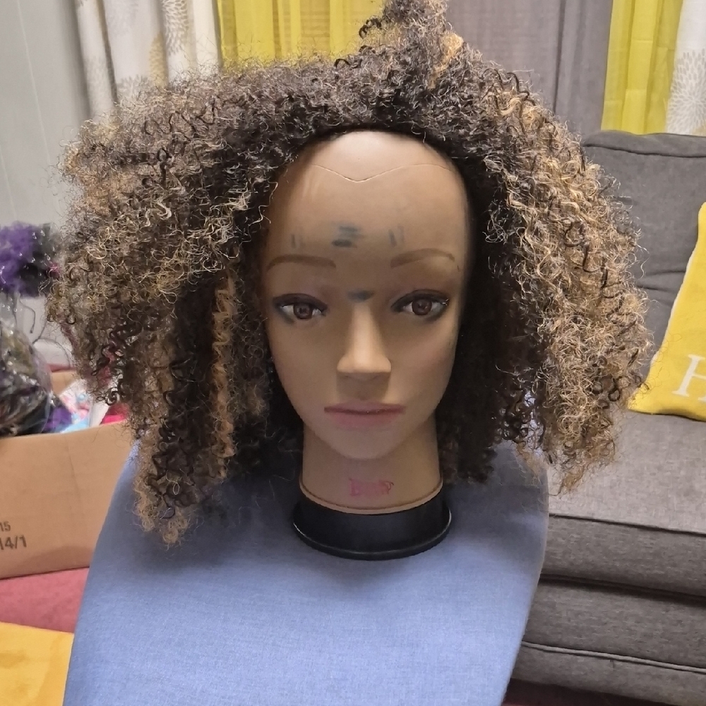 Curly Brown and Black Wig